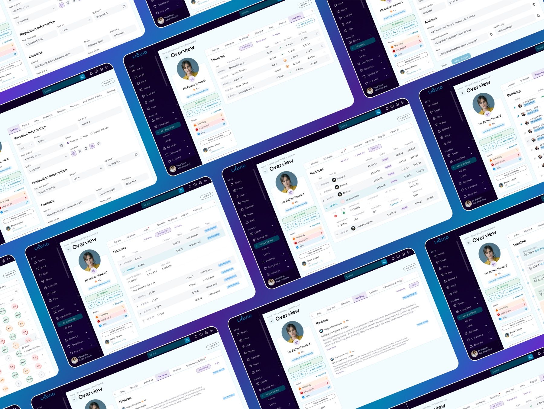 Liquid CRM design screen 1