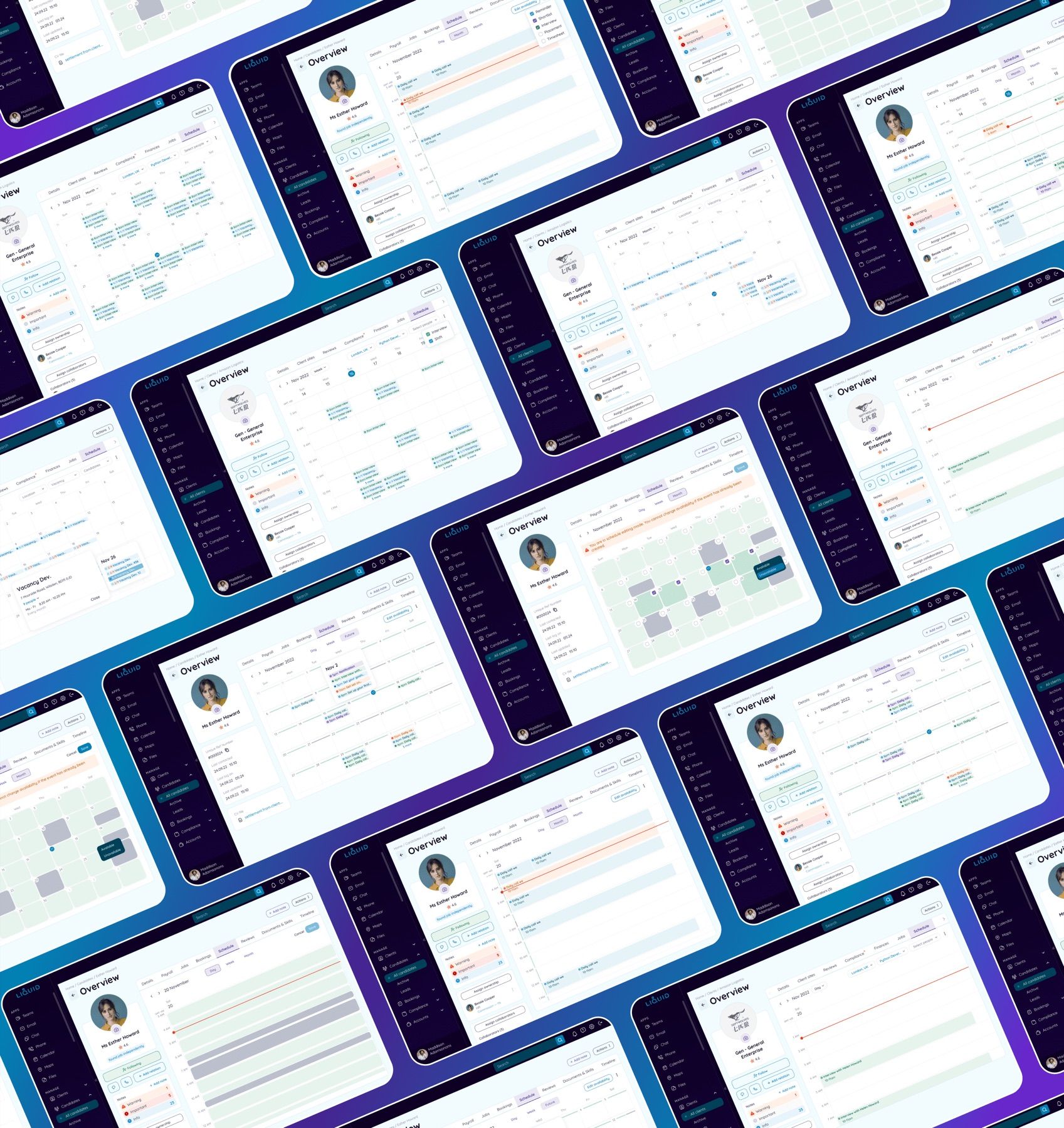 Liquid CRM design screen 3
