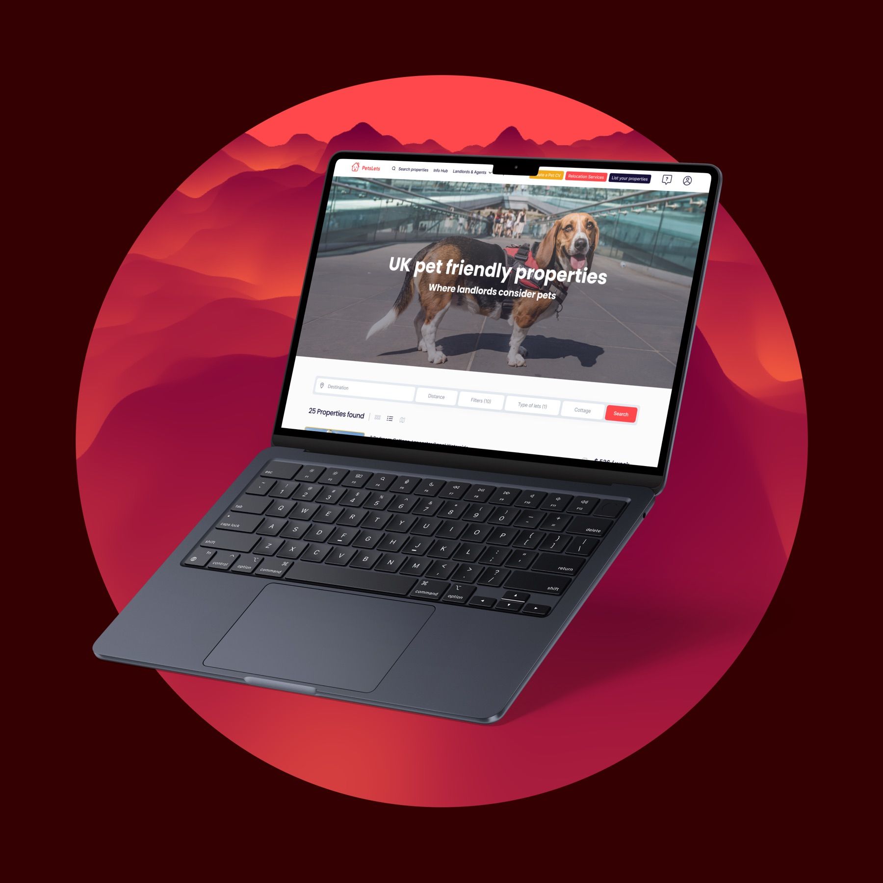 Pets Lets: Redesign and product design