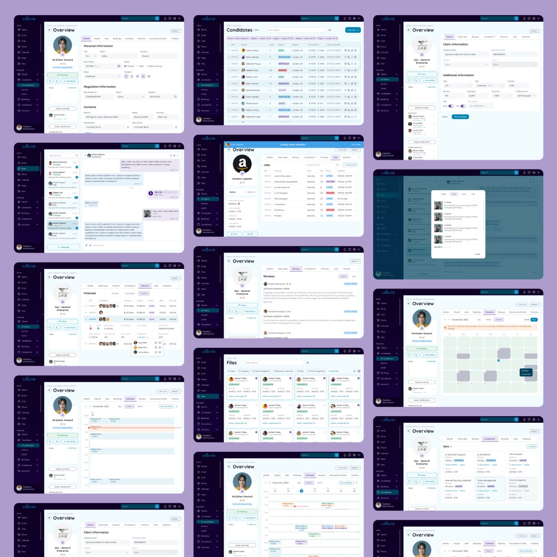 Liquid CRM: Web app